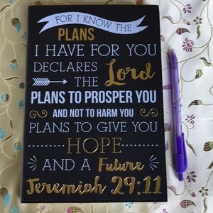 Journal & Papermate InkJoy Pen